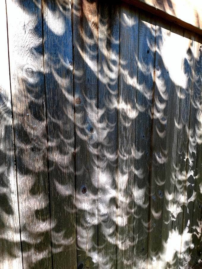 eclipse shadows on wooden fence