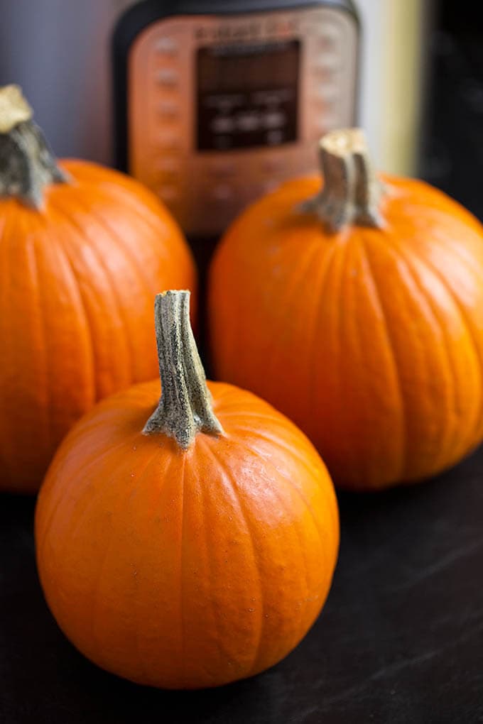 Three small pumpkins in front of pressure cooker