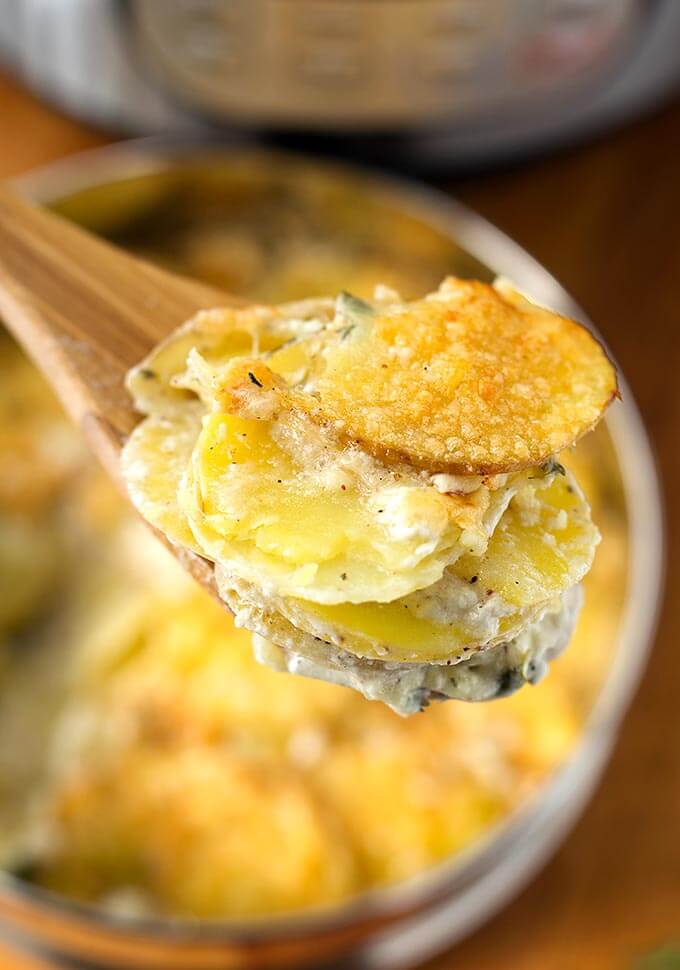 Close up of scalloped potatoes on wooden serving spoon
