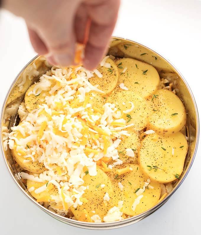 Sliced potatoes in round pan sprinkled with cheese