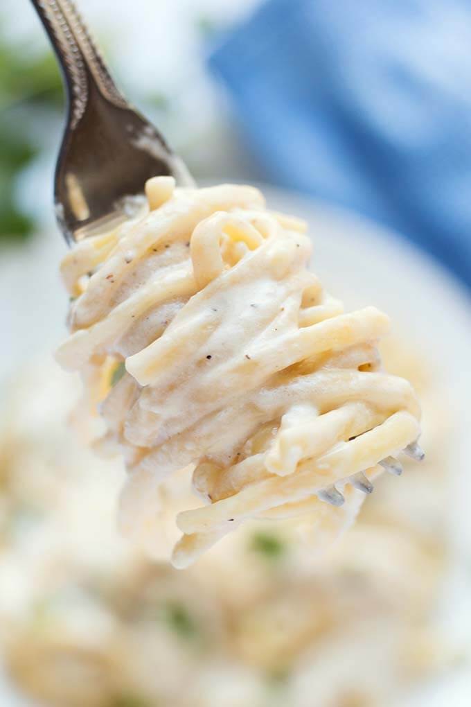 Close up forkful of Fettuccine Alfredo with chicken
