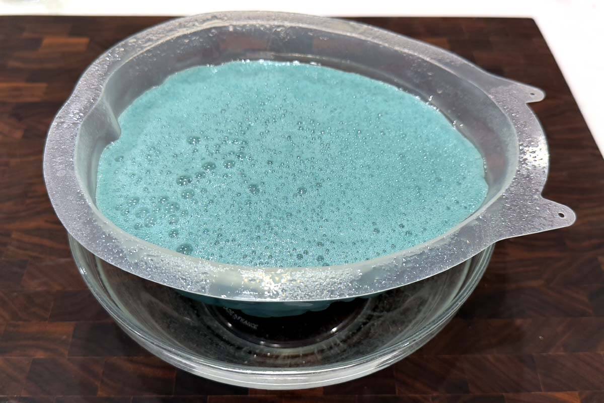 brain mold with jello mixture in it