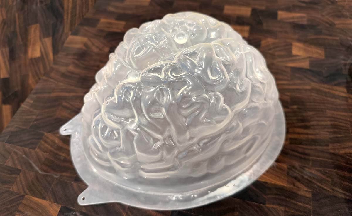a plastic mold shaped like a brain