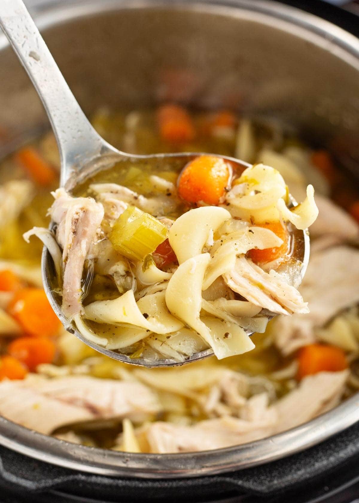 Chicken Noodle Soup in ladle.