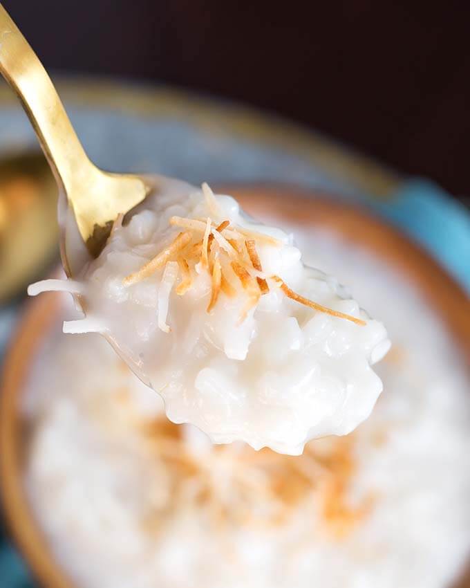 Closeup of a spponful of Coconut Rice Pudding garnished with toasted coconut