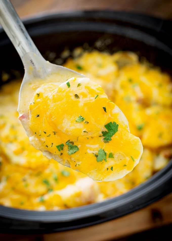 Close up of spoonful of Cheesy Scalloped Potatoes over slow cooker