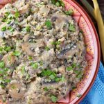 Instant Pot Quinoa Hamburger Stroganoff