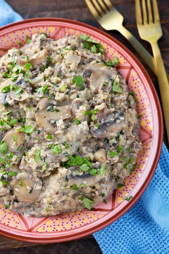 Quinoa Hamburger Stroganoff on a red and pink patterned plate