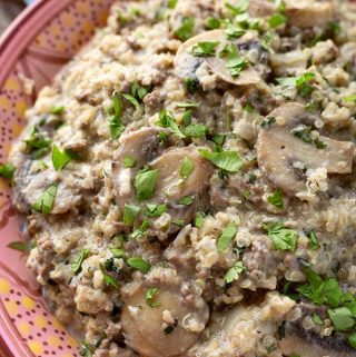Instant Pot Quinoa Hamburger Stroganoff