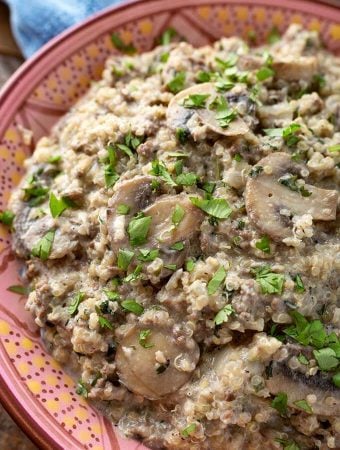 Quinoa Hamburger Stroganoff on red and pink patterned plate
