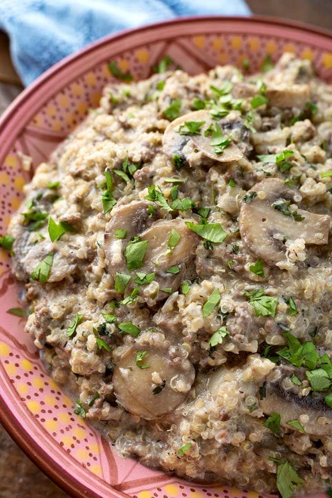 Closeup of Quinoa Hamburger Stroganoff on red and pink patterned plate