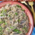 Instant Pot Quinoa Hamburger Stroganoff
