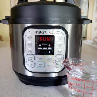 instant pot water test