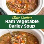 crock pot Ham Vegetable Barley Soup