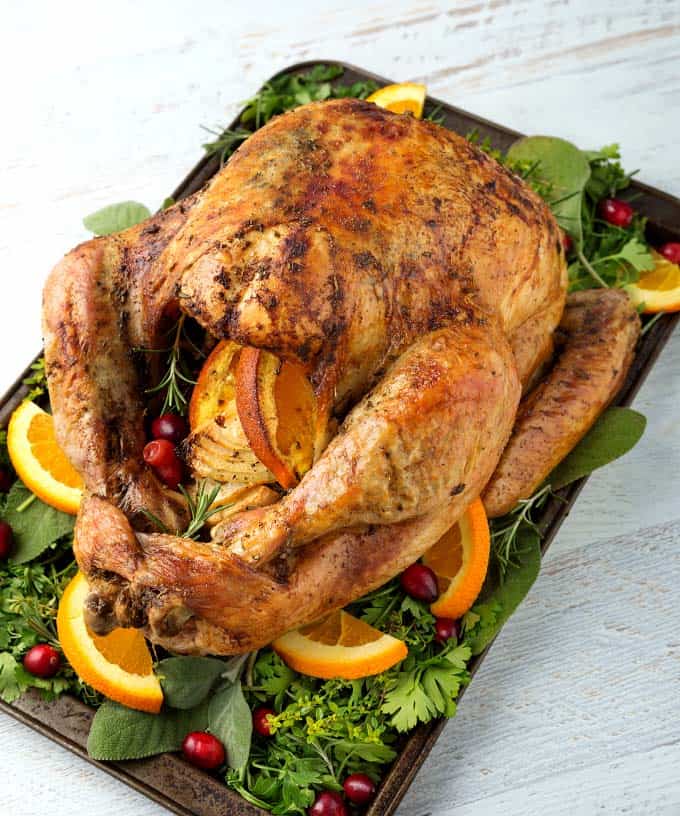  Thanksgiving Turkey on baking sheet with vegetables, herbs, sliced oranges and cranberries