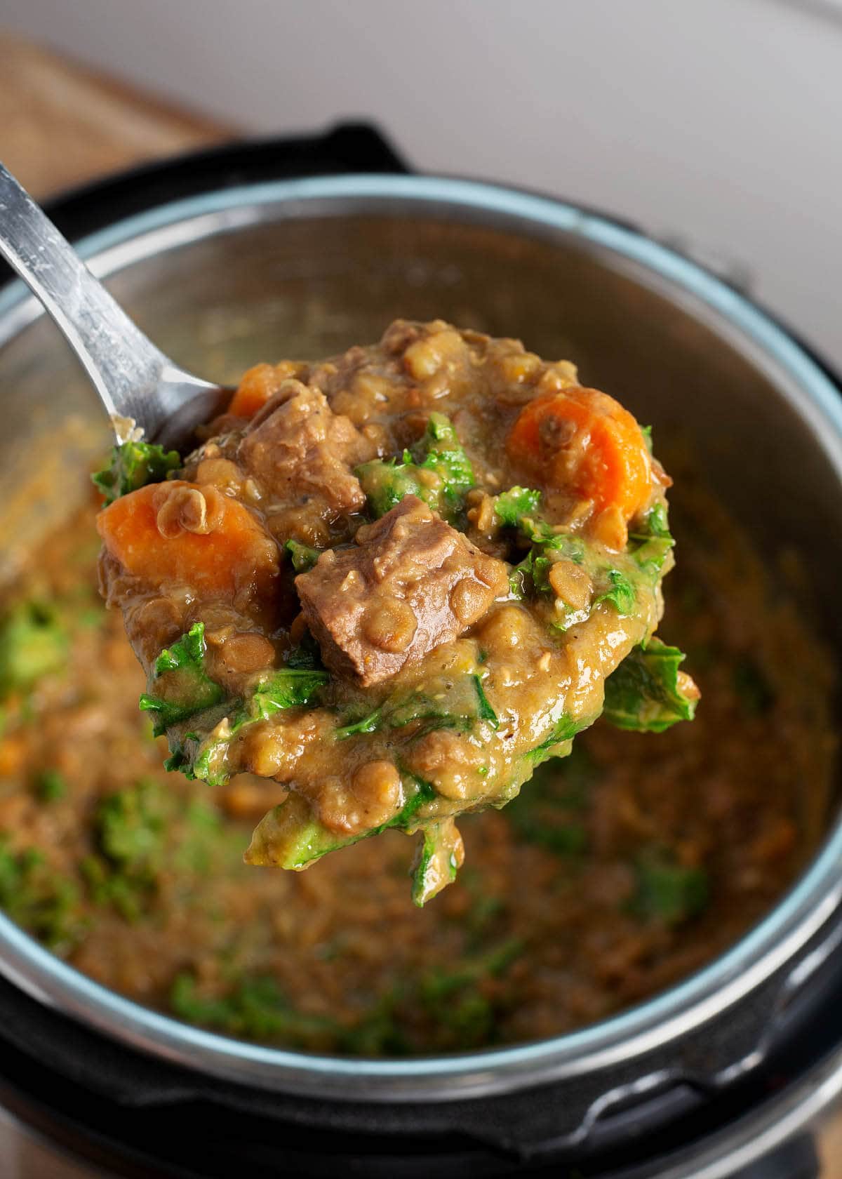 Lentil Stew in a ladle