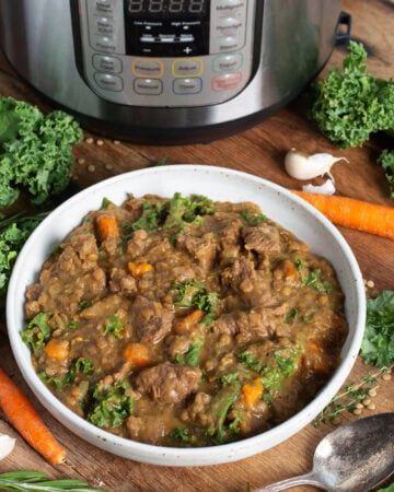 Instant Pot Lentil Beef Stew