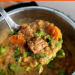 Instant Pot Lentil Beef Stew in a ladle