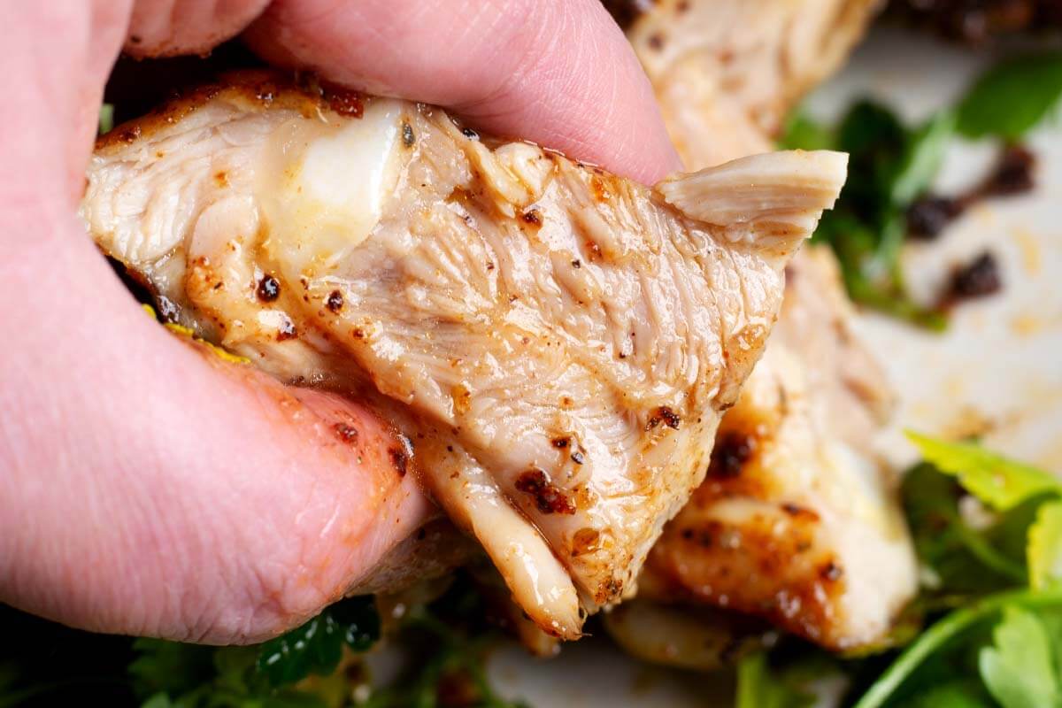 closeup of chicken thigh slice