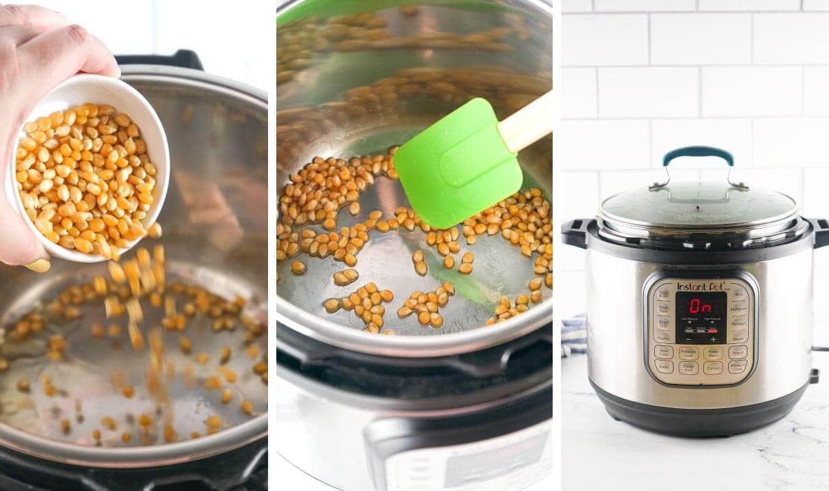 pour kernels into pot, stir kernels, put lid on pot