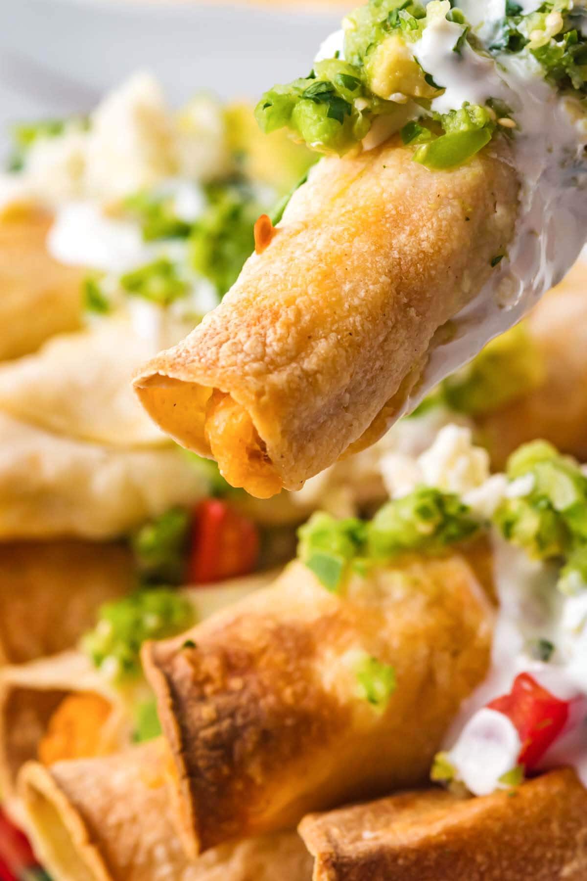 closeup of a taquito