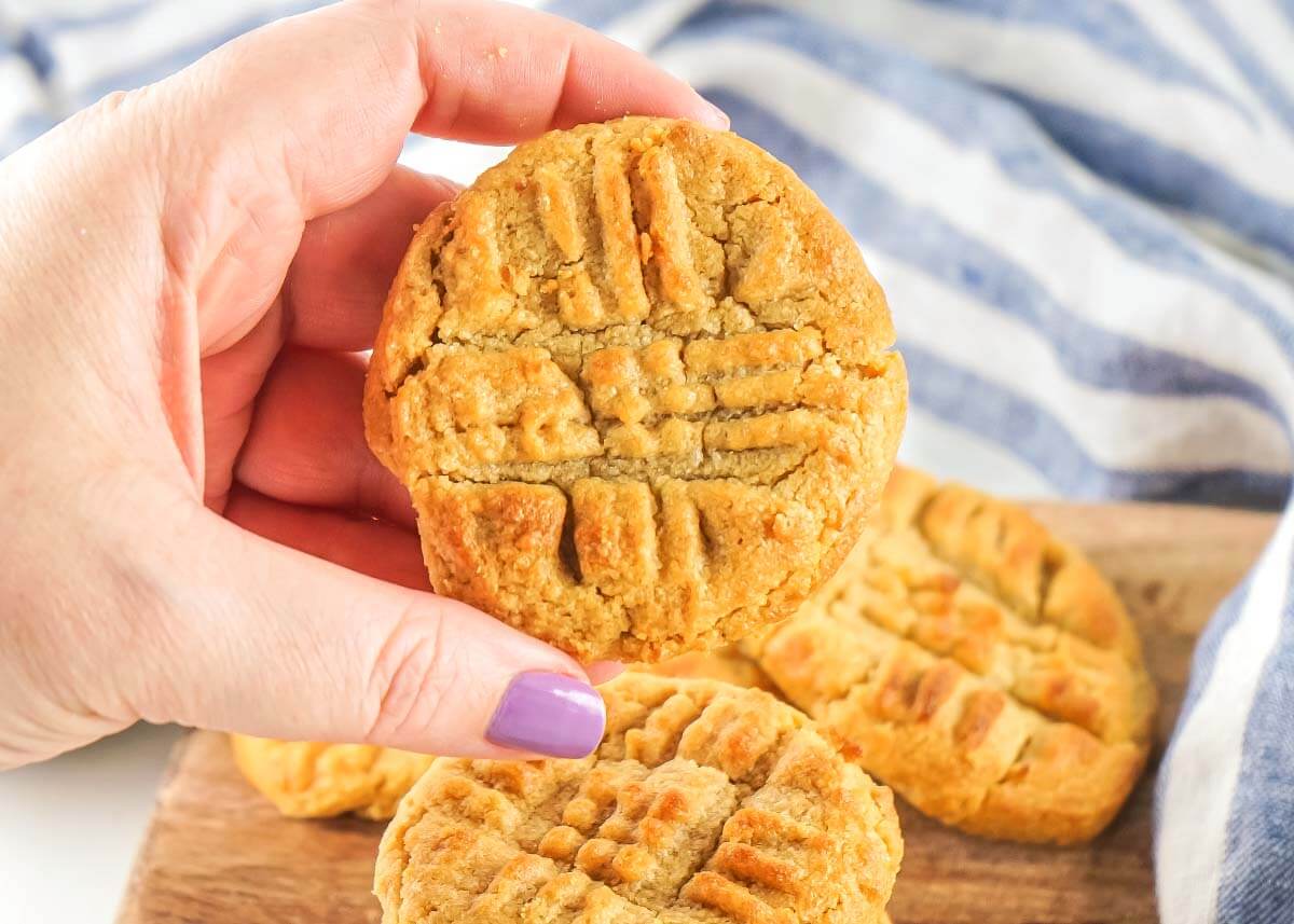 hand holding a cookie