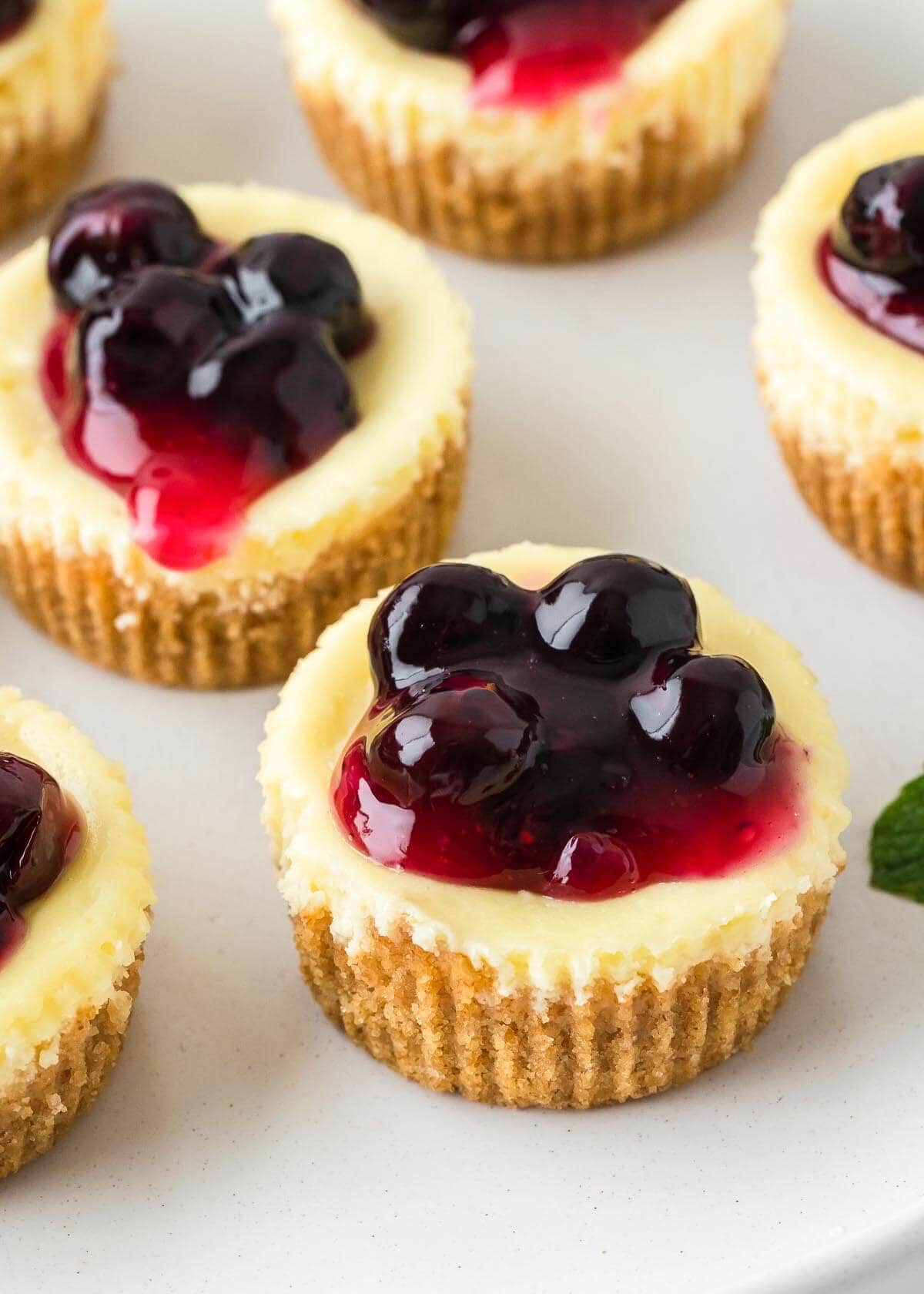Mini Cheesecakes with blueberry filling on a white plate.