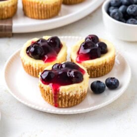 Mini Cheesecakes with blueberry filling on a white plate.