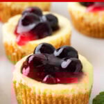 Mini Cheesecakes
