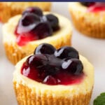 Mini Cheesecakes