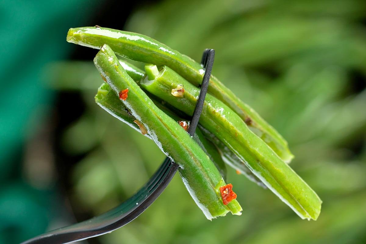 cooked green beans on a fork.