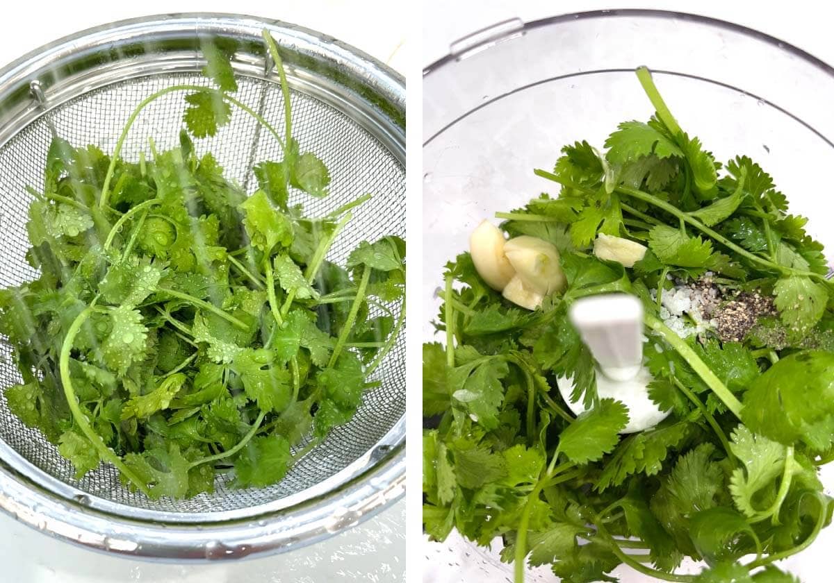 rinsing cilantro in sieve, cilantro, salt, pepper, garlic, lime juice added to food processor.