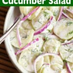 Creamy Dill Cucumber Salad in a white bowl closeup.