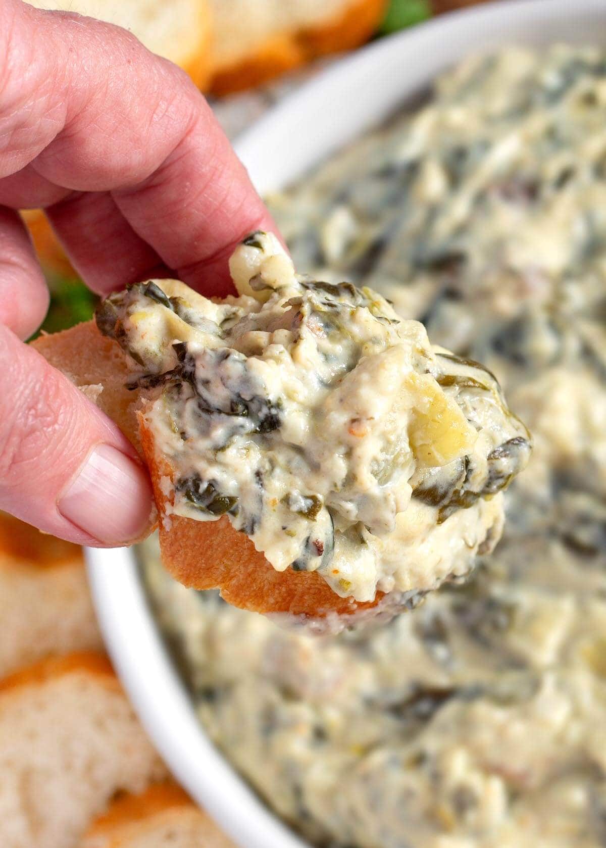 Slow Cooker Spinach Artichoke Dip on a baguette slice in hand closeup.