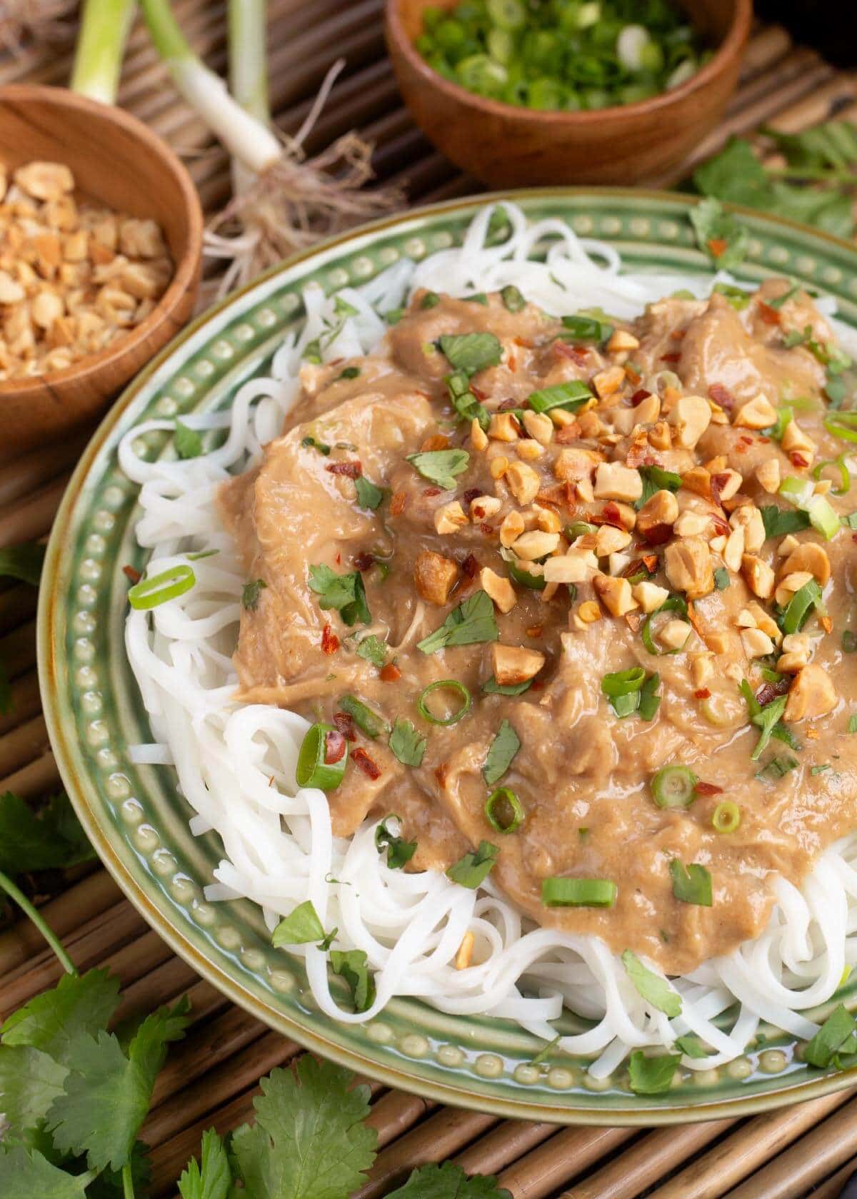 Crockpot Thai Peanut Chicken