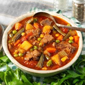 Crockpot Vegetable Beef Soup