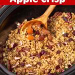 Crockpot Apple Crisp