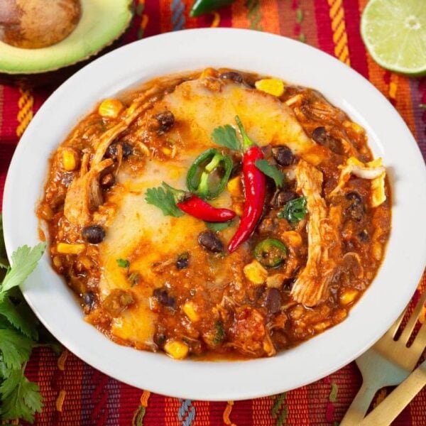 Crockpot Chicken Enchilada Casserole