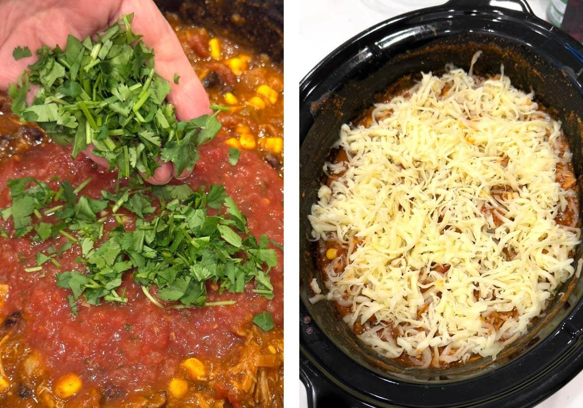 adding cilantro to sauce, cheese sprinkled on top