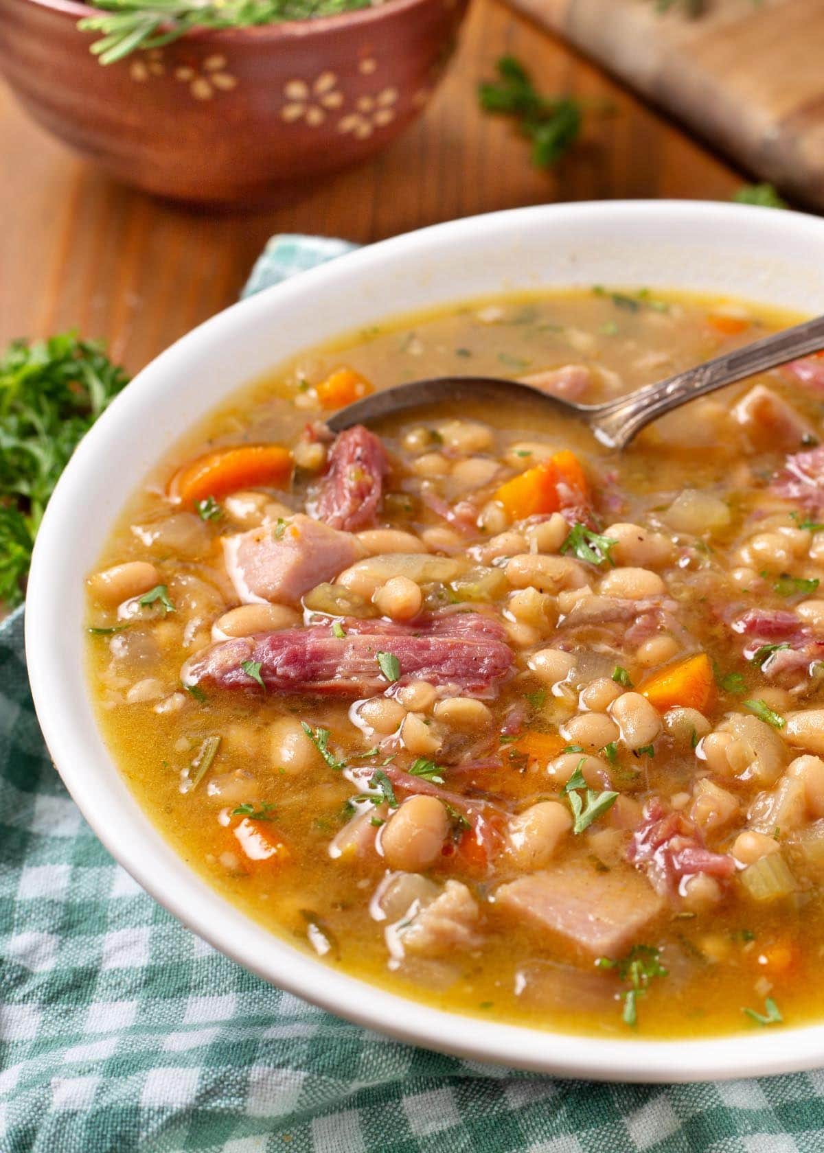Slow Cooker Ham and Bean Soup