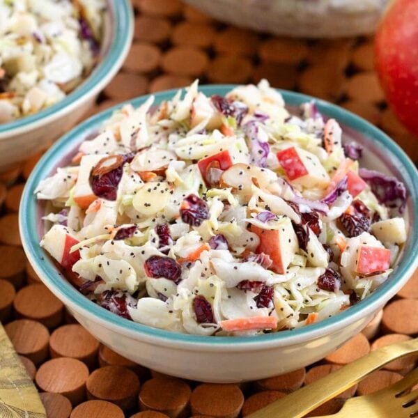 bowl of apple cranberry coleslaw