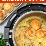Instant Pot Chicken Pot Pie