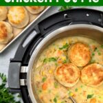 Instant Pot Chicken Pot Pie