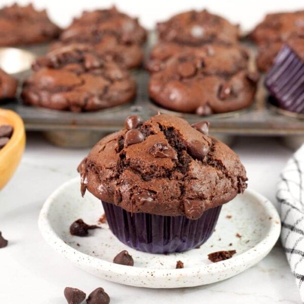 Bakery style double chocolate muffins with tall domed tops and chocolate chips