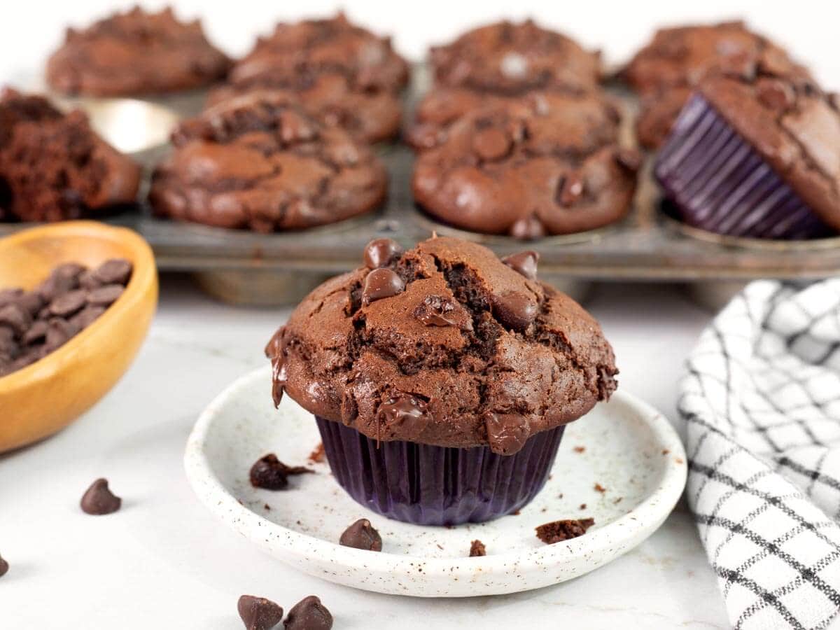 Bakery style double chocolate muffins with tall domed tops and chocolate chips