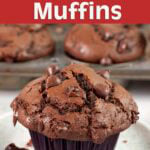 Bakery Style Double Chocolate Muffins