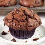 Bakery style double chocolate muffin with tall domed tops and chocolate chips