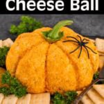 Pumpkin Cheese Ball