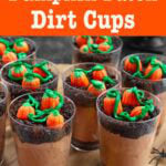 Pumpkin Patch Dirt Cups