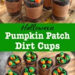 Pumpkin Patch Dirt Cups